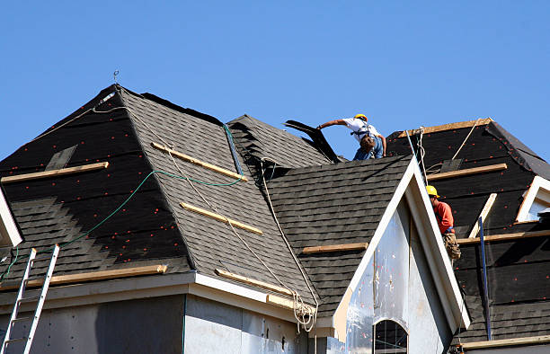 Best Shingle Roofing Installation  in Jesup, GA
