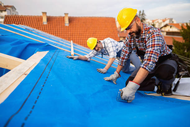 Best Residential Roofing Contractor  in Jesup, GA