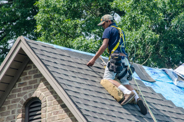 Best Residential Roofing Contractor  in Jesup, GA